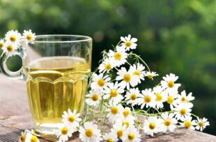 مزیا و خاصیت بابونه برای پوست